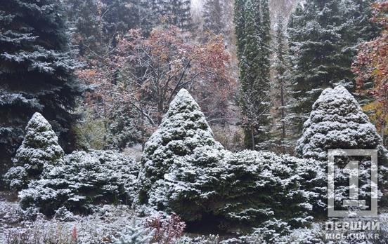 Дива природи тимчасово під замком: у Кривому Розі певний час не працюватиме ботанічний сад