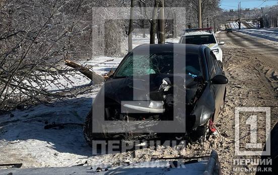 Внезапно остановилось сердце у водителя: в Кривом Роге KIA влетела в дерево