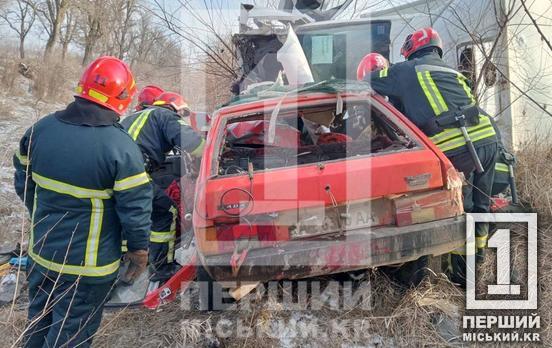 Лобовое столкновение: на трассе «Кривой Рог - Днепр» столкнулись «ВАЗ» и Mercedes-Benz Sprinter