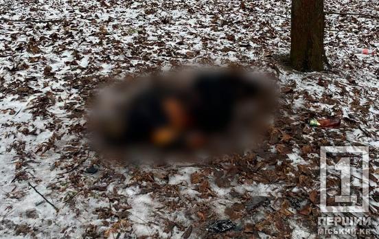 Намерения неизвестны: в Кривом Роге в парке Шахтерский мужчина сжег себя заживо