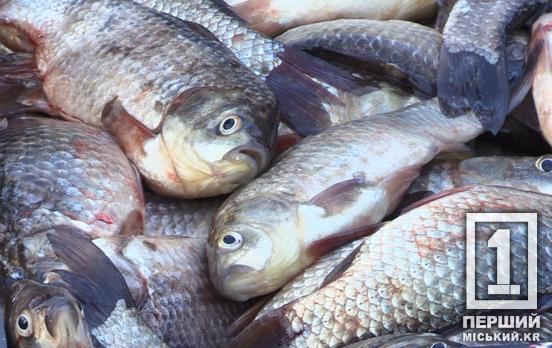 Браконьєрам приготуватися: в Україні хочуть збільшити штрафи за незаконне рибальство