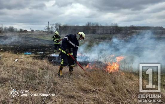 Вместо аромата весны – дым от пожара: на Днепропетровщине за день выгорело более 37 га экосистем