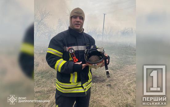 Пытался сбежать из огненной ловушки: криворожские чрезвычайники спасли ежика на пожаре