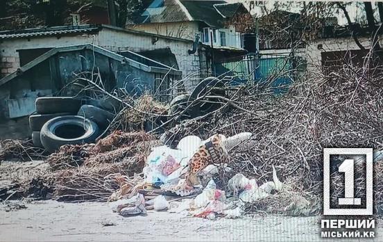 Чисто не там, где убирают, а там, где не мусорят: в Кривом Роге выписали 11 штрафов за нарушение благоустройства