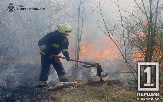 Весна з присмаком диму: на Дніпропетровщині за минулу добу вогонь нищив 17 га екосистем