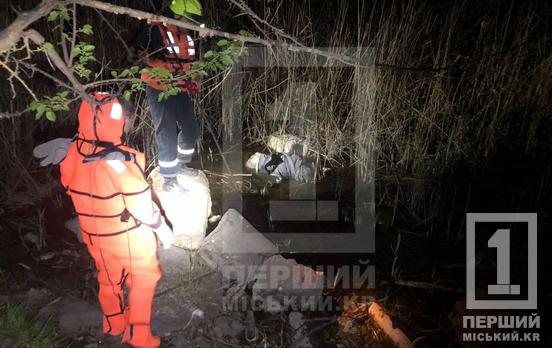 Лежал в зарослях в воде: в Саксаганском районе Кривого Рога нашли труп