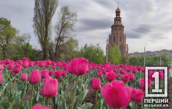 Кривий Ріг потрапив до списку міст-лідерів України за рівнем забруднення атмосферного повітря