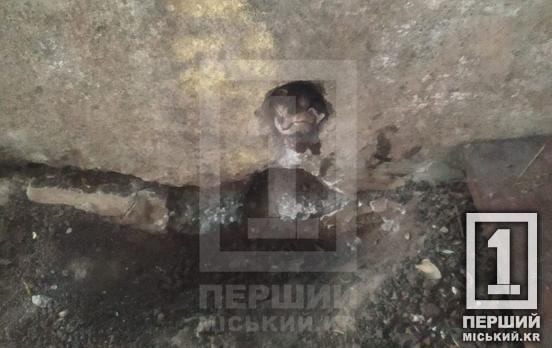 Криворізькі рятувальники визволили з бетонної пастки кошеня
