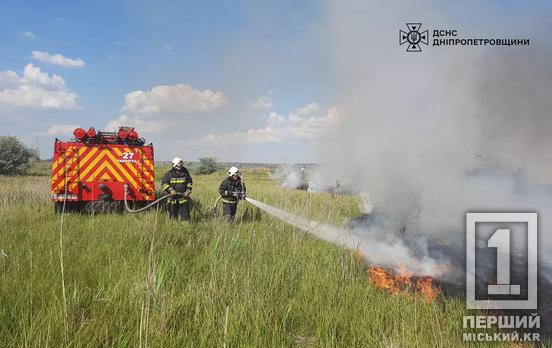 Підвищена пожежна небезпека триває: Дніпропетровщина за минулу добу палала 25 разів