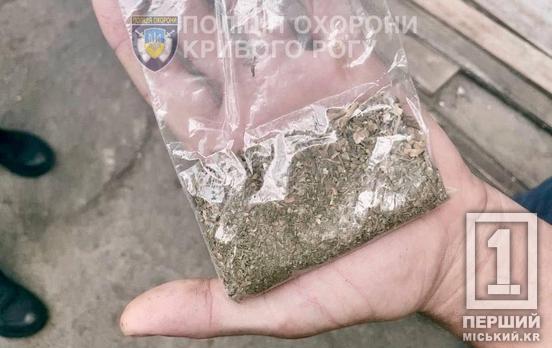 Пляшка пива і «травичка»: у Кривому Розі поліція затримала зухвалого чоловіка з наркотиками
