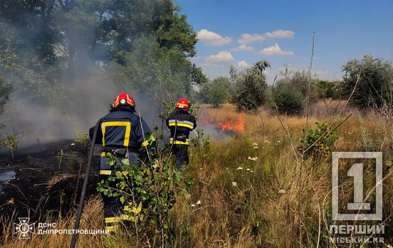 Невідомі продовжують створювати пекло: Дніпропетровщина 11 липня палала 76 разів