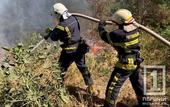 Пекельний період у розпалі: минулої доби на Дніпропетровщині вигоріло 86 гектарів