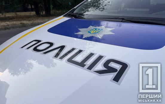Озброєні молотками підстерегли біля дому: у Кривому Розі жорстоко побили власника автомайданчика