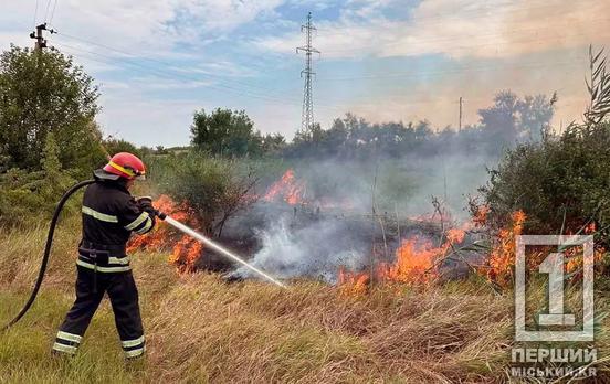 Вигоріло понад 63 гектари: на Дніпропетровщині сталося 58 пожеж за 1 добу