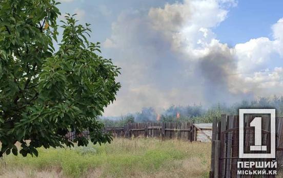 Вогонь ширився схилами: у Центрально-Міському районі Кривого Рогу палала суха трава