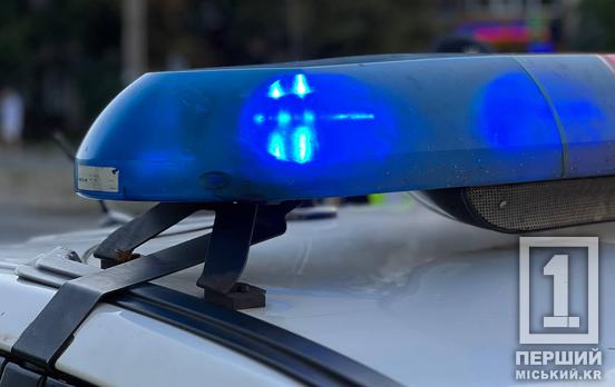 Подряпала собі обличчя та надурила поліцейських: у Кривому Розі затримали жінку