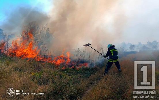 У вогняному шалі опинилися поля і ліси Дніпропетровщини: за одну добу сталося 102 пожежі