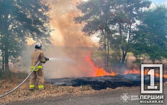 Пекельні дні не припиняються: на Дніпропетровщині вогонь знищив понад 97 гектарів землі