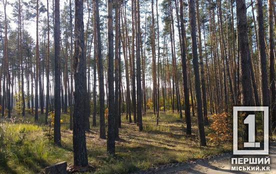 Не чіпайте приманки руками: на Дніпропетровщині почнуть розкидати вакцину для тварин від небезпечної і смертельної хвороби