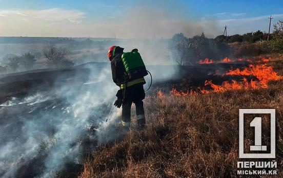 Пожежі не вщухають: за минулу добу на Дніпропетровщині вигоріло 45 га угідь