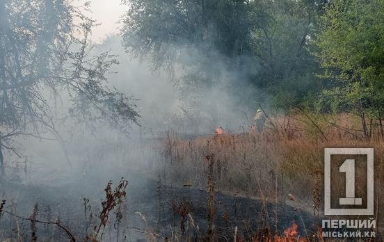 7 машин та пожежний потяг, який підвозить воду: у Кривому Розі шалений вітер розніс вогонь на величезну площу