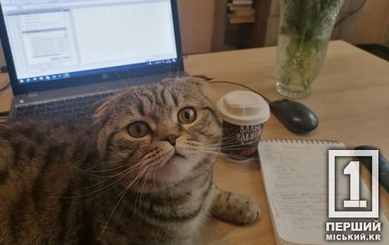 Плюс один банк и больше категорий для грантов: МЭУ информирует об обновлении проекта «Собственное дело»