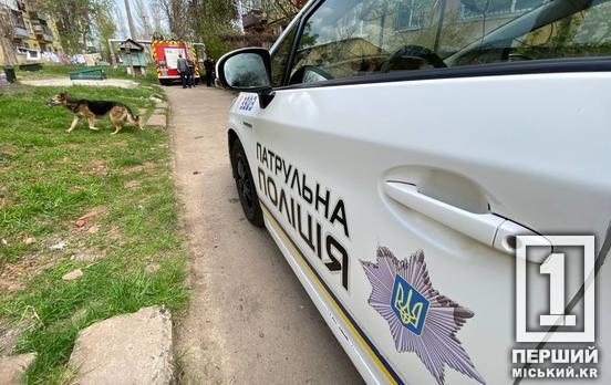 Напад на поліцейських, примарні шини, зникнення 30 тис грн з картки: звіт про події минулого тижня у одній з громад Криворізького району