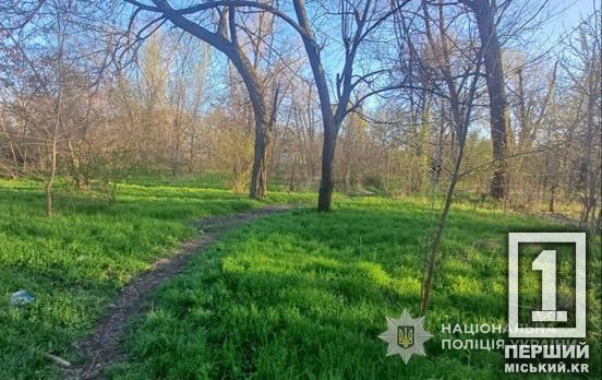 Жертві 44 роки: у Тернівському районі Кривого Рогу була смертельна бійка на галявині