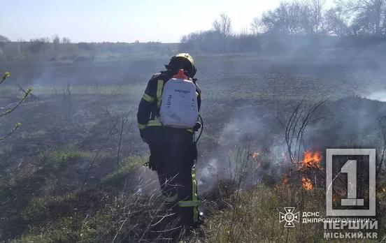 Палали цінні території: на Дніпропетровщині за добу ліквідували 26 пожеж в екосистемах