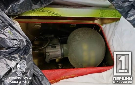 Нерви здали перед поліцією: у Кривому Розі викрили чоловіка, який сховав гранату у лісосмузі