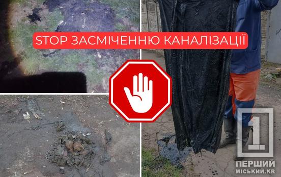 Вы вредите и себе, и другим: «Кривбассводоканал» показал очередные «артефакты» из канализации и обратился к людям