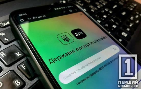 Кілька хвилин вашого часу та пару кліків роботи: у «Дії» запрацював оновлений функціонал подання податкових декларацій