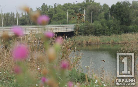 Є над чим працювати: екологи надали свіжі дані про якість води у Інгульці та Саксагані