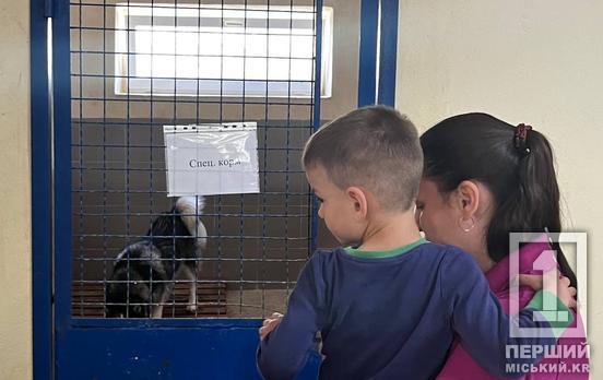 Собаче серце кричить очима: Криворізький центр поводження з тваринами провів день відкритих дверей