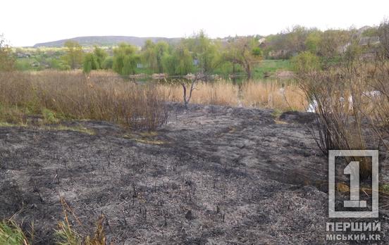 Чорна пустка замість зелені: вогонь знищив ділянку берега Інгульця в Центрально-Міському районі