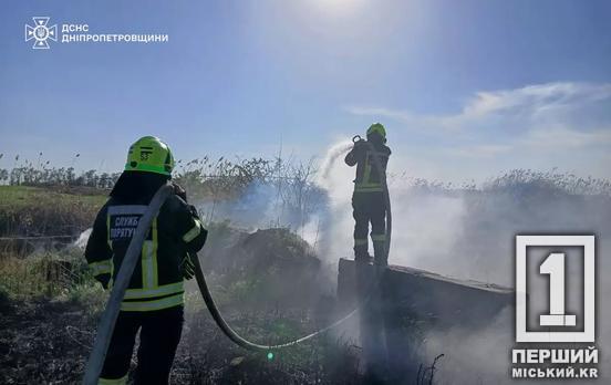28 пожеж та понад 28 гектарів втрачено за добу: Дніпропетровщина потерпає від лютування вогняної стихії