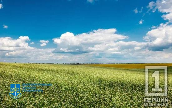 Знову у володінні громад Дніпропетровщини: прокурори повернули понад 18 тис га незаконно відчужених земель