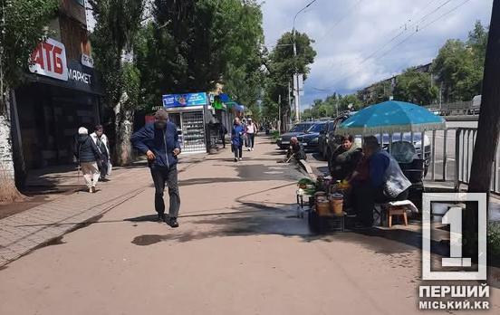 Стояли «точки» з овочами: у Покровському районі виявили осередки стихійної торгівлі