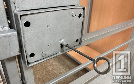 Пішла на сексуальне насильство щодо маленького сина: на Дніпропетровщині жінка на 15 років загримить до в’язниці