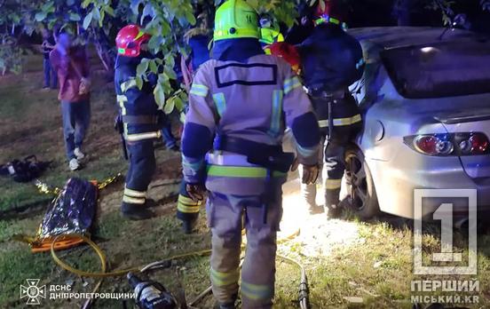 Дитину та жінку довелося вирізати з авто: у Саксаганському районі Кривого Рогу іномарка влетіла в дерево