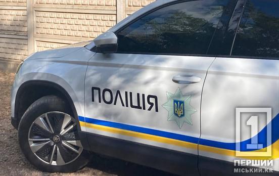 Может надолго сесть за решетку: в Кривом Роге задержали парня, который под угрозой оружием обокрал подростка