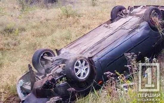 Опинився у кюветі: неподалік повороту на Даманський водій втратив керування над легковиком