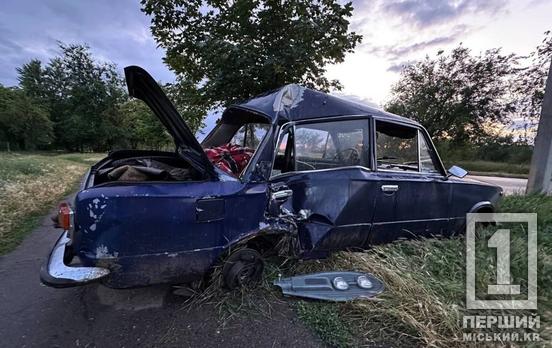 У Кривому Розі в моторошній ДТП водій втратив вухо