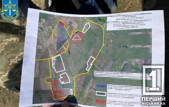 Там незаконно рубили деревья: на Днепропетровщине МОУ вернули земли оборонного назначения