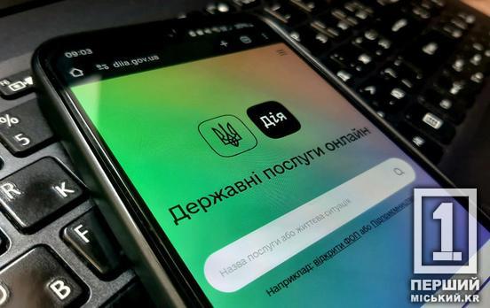 В «Дії» тестируют новую услугу: украинцы смогут заказать выписку о несудимости с апостилем