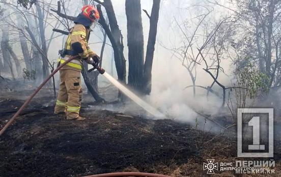 Вернулась жара и вместе с ней многочисленные пожары: за одни сутки Днепропетровская область горела 44 раза