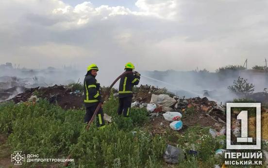 Пекельний вогонь: у Дніпропетровській області вигоріли 44+ гектари території
