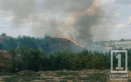 Питання екологічної безпеки не лише нашої країни, а й континенту: збитки довкіллю від війни вже сягають 108 млрд євро