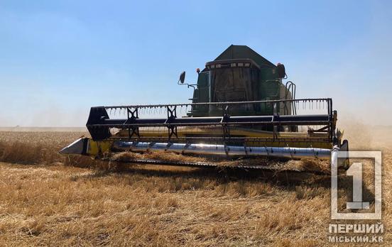 Хлібне літо в розпалі: аграрії Дніпропетровщини зібрали сотні тисяч тонн нового врожаю