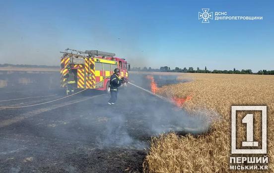 Вогняне пекло продовжується: минулої доби Дніпропетровщина пережила 25 пожеж